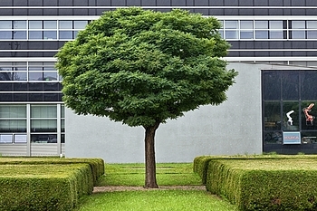 Uber Exif Photo