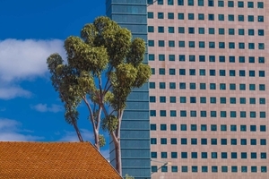Uber Exif Photo