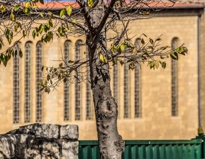 Uber Exif Photo
