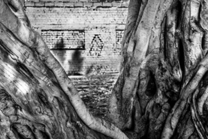Uber Exif Photo