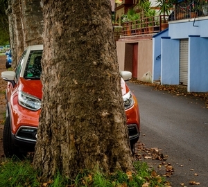 Uber Exif Photo