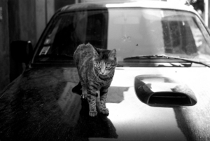 Uber Exif Photo