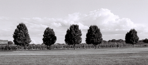 Uber Exif Photo