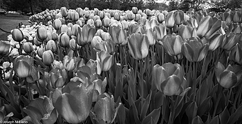 Uber Exif Photo