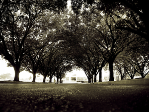 Uber Exif Photo