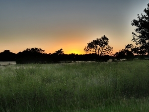 Uber Exif Photo