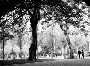 Uber Exif Photo