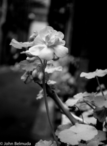 Uber Exif Photo