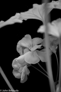 Uber Exif Photo