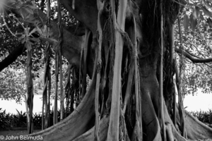 Uber Exif Photo