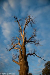 Uber Exif Photo