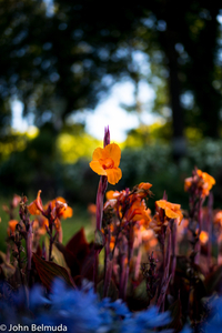 Uber Exif Photo