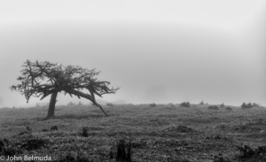 Uber Exif Photo