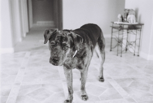Uber Exif Photo
