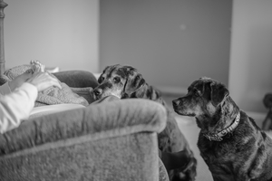 Uber Exif Photo