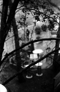 Uber Exif Photo