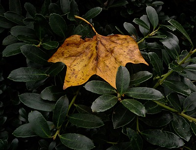 Uber Exif Photo