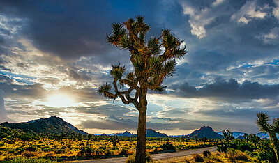 Uber Exif Photo