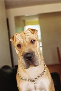 Uber Exif Photo