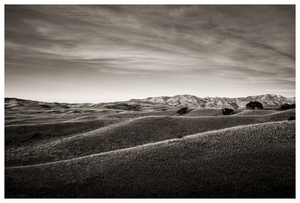 Uber Exif Photo