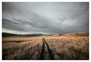 Uber Exif Photo