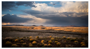 Uber Exif Photo