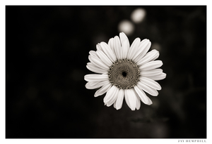 Uber Exif Photo
