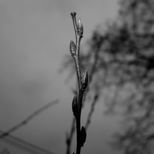 Uber Exif Photo