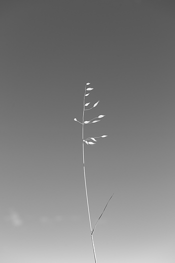 Uber Exif Photo