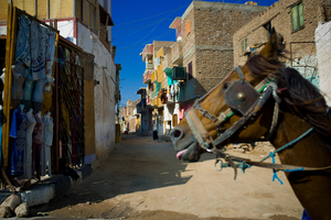 Uber Exif Photo