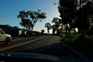 Uber Exif Photo