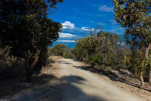 Uber Exif Photo
