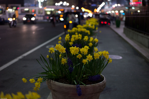 Uber Exif Photo
