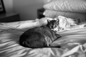 Uber Exif Photo