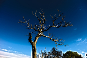 Uber Exif Photo