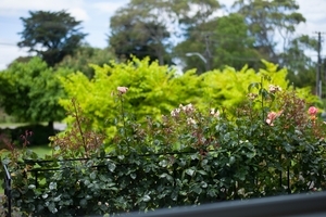 Uber Exif Photo