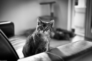 Uber Exif Photo