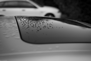 Uber Exif Photo