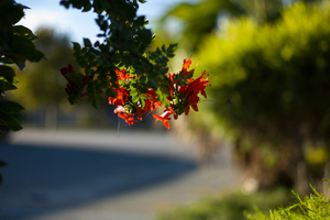 Uber Exif Photo