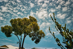 Uber Exif Photo