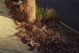 Uber Exif Photo
