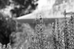 Uber Exif Photo