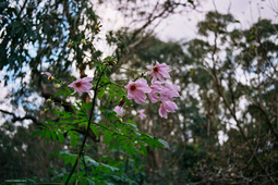 Uber Exif Photo