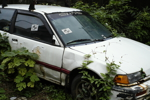 Uber Exif Photo