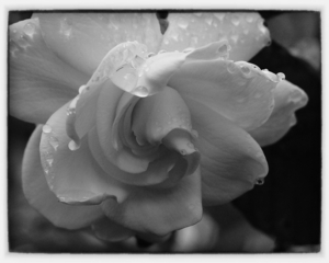 Uber Exif Photo