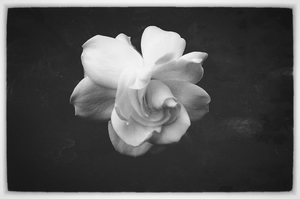 Uber Exif Photo