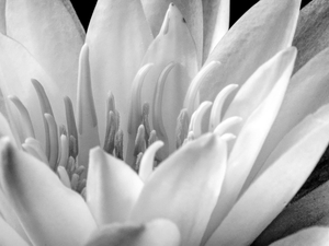 Uber Exif Photo