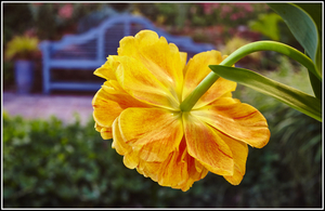 Uber Exif Photo