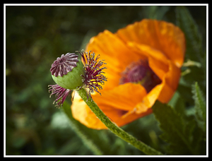 Uber Exif Photo