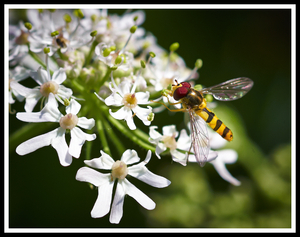 Uber Exif Photo